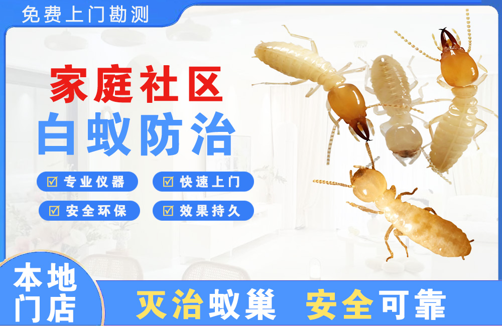 玉林家庭社区白蚁防治