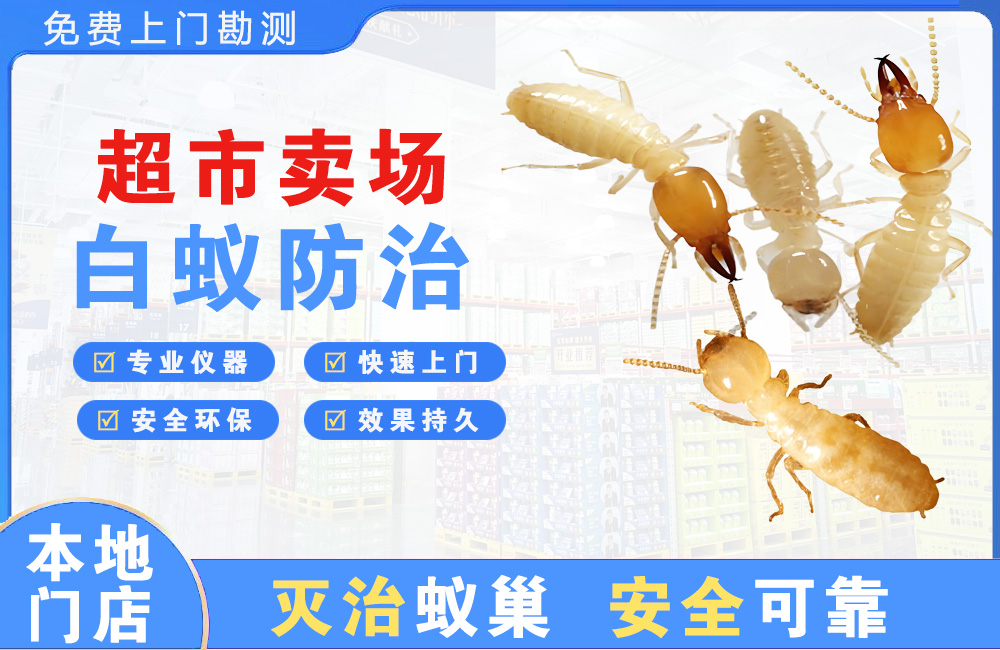玉林超市卖场白蚁防治