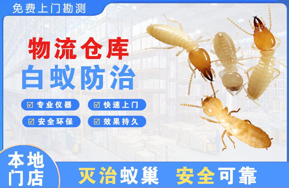 玉林物流仓库白蚁防治