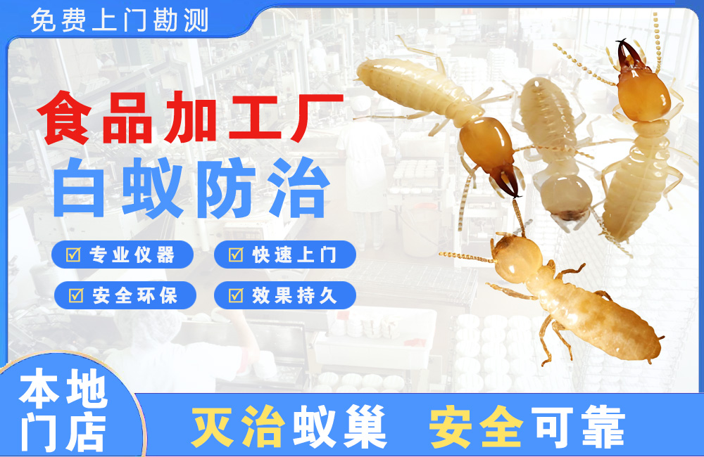 玉林食品加工厂白蚁防治