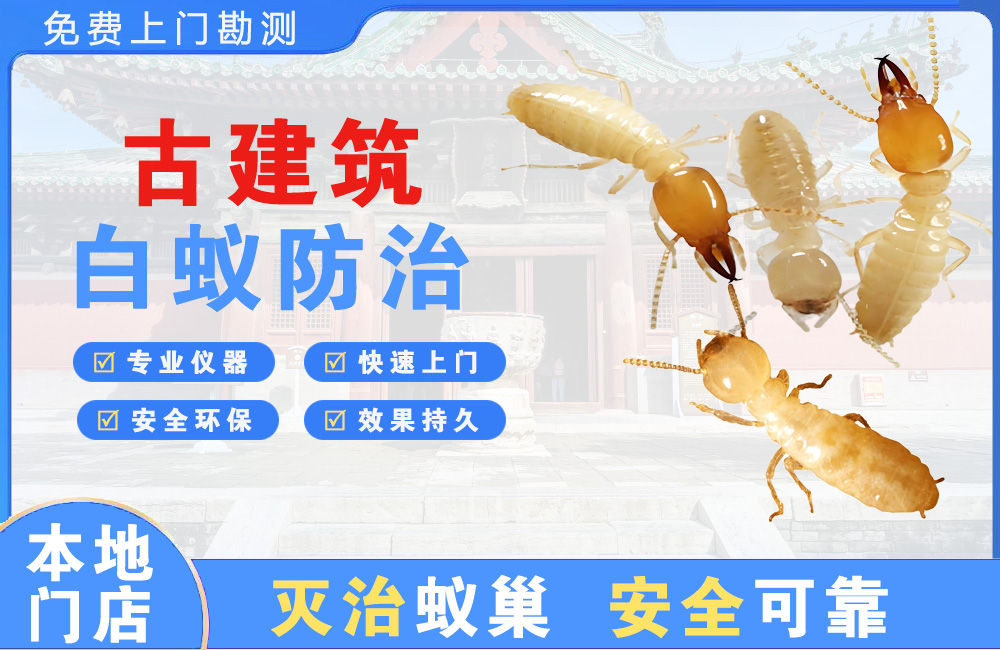 玉林古建筑白蚁防治