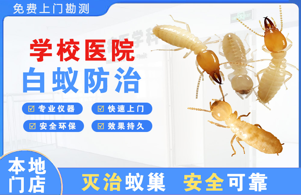 玉林学校医院白蚁防治