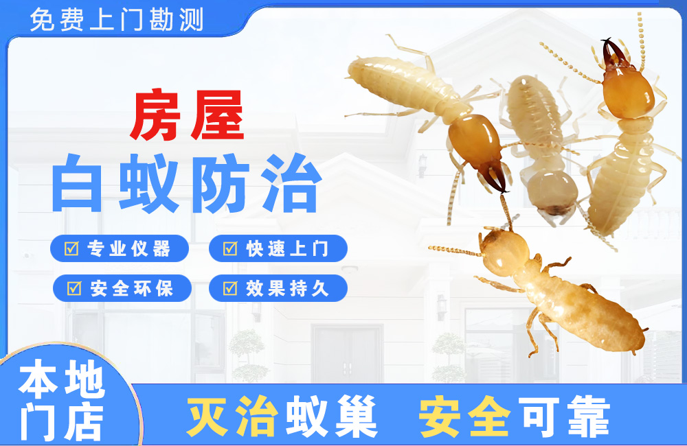 玉林房屋白蚁防治