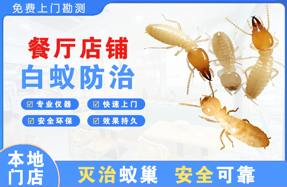 玉林餐厅店铺白蚁防治